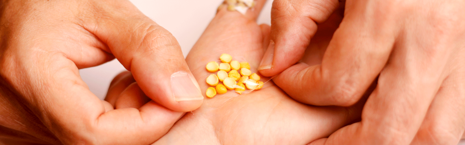 Seed Therapy