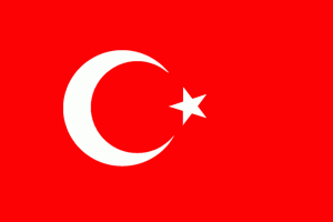 Turkey SuJok Recognition